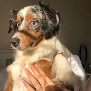 Meet your Posher, Natalie